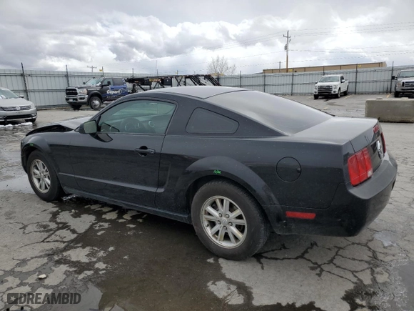 2008 Ford Mustang Deluxe with VIN 1ZVHT80N685109353, listed as a Copart auction lot 49085195 with 250,548 mi miles and Salvage Title. Bid and sale history available at carsss.com. Image 2.