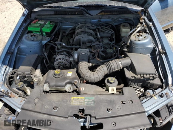 2006 Ford Mustang Standard with VIN 1ZVFT84N165257831, listed as a Copart auction lot 55526005 with 123,603 mi miles and Clean title. Bid and sale history available at DreamBid. Image 12.