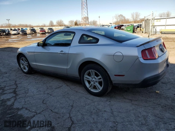 2010 Ford Mustang V6 with VIN 1ZVBP8AN1A5159253, listed as a Copart auction lot 47920215 with 161,936 mi miles and Non Repairable. Bid and sale history available at DreamBid. Image 2.