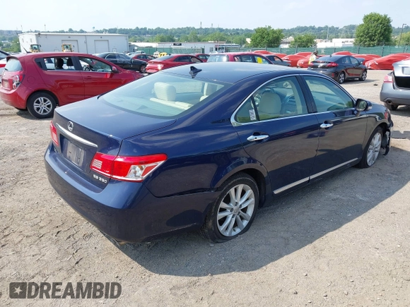 2011 Lexus ES 330 with VIN JTHBK1EG7B2437904, listed as a IAAI auction lot 42486692 with Not provided miles and . Bid and sale history available at DreamBid. Image 4.
