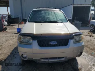 2007 Ford Escape XLT with VIN 1FMYU03137KB70360, listed as a Copart auction lot 70698654 with 114,353 mi miles and Non Repairable. Bid and sale history available at carsss.com. Image 5.