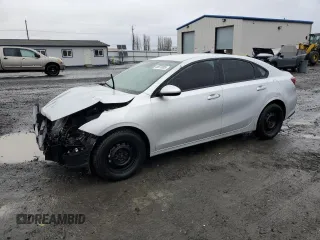 2019 Kia Forte LXS with VIN 3KPF24AD1KE046637, listed as a Copart auction lot 48978895 with 50,711 mi miles and Clean Title. Bid and sale history available at carsss.com. Image 1.
