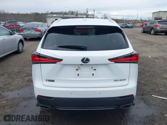 2019 Lexus NX 300 z VIN JTJBARBZ2K2196212, wystawiony jako IAAI lot #41875609 z przebiegiem 108 897 mil mil oraz . Historia ofert i sprzedaży dostępna na DreamBid. Obrazek 16.