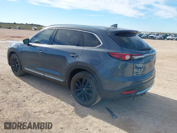 2022 Mazda CX-9 Grand Touring with VIN JM3TCBDY6N0613996, listed as a IAAI auction lot 41018105 with 58,110 mi miles. Bid and sale history available at carsss.com. Image 3.