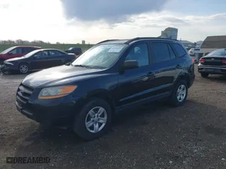 2009 Hyundai Santa Fe GLS with VIN 5NMSG13D09H299043, listed as a IAAI auction lot 41896495 with 208,263 mi miles. Bid and sale history available at carsss.com. Image 2.