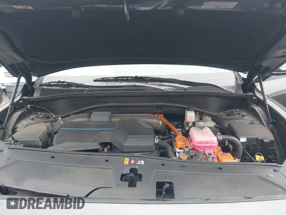2023 Hyundai Santa Fe Limited with VIN 5NMS5DA19PH013204, listed as a IAAI auction lot 41909727 with 17,206 mi miles and . Bid and sale history available at DreamBid. Image 10.