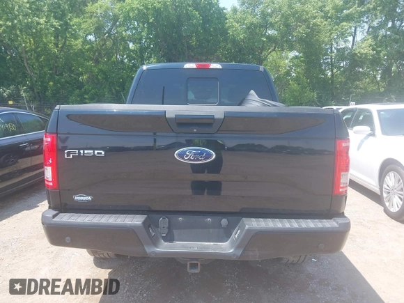 2017 Ford F-150 XL with VIN 1FTEW1EF6HFA59179, listed as a IAAI auction lot 42424917 with 103,437 mi miles and . Bid and sale history available at DreamBid. Image 16.