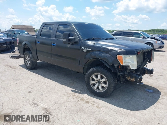 2011 Ford F-150 XL z VIN 1FTFW1EF9BKD08514, wystawiony jako IAAI lot #42679982 z przebiegiem 333 812 mil mil oraz . Historia ofert i sprzedaży dostępna na DreamBid. Obrazek 1.