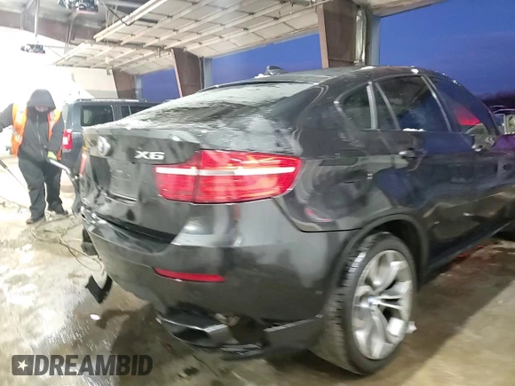 2013 BMW X6 xDrive50i with VIN 5UXFG8C52DL591320, listed as a Copart auction lot 85690334 with 0 mi miles and Salvage Title. Bid and sale history available at carsss.com. Image 14.
