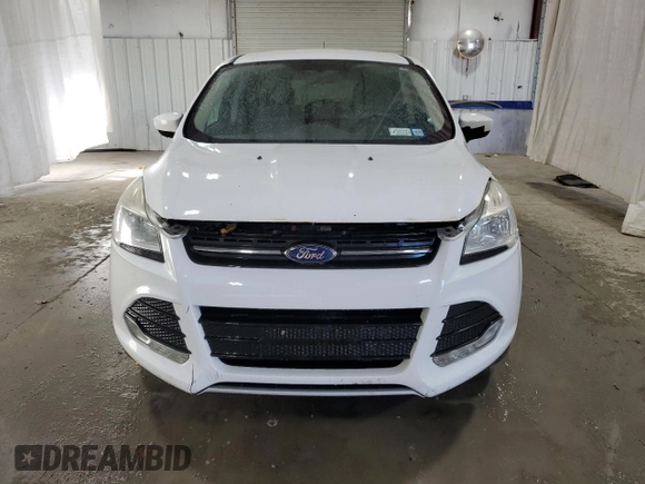 2013 Ford Escape SE with VIN 1FMCU0GX9DUD79577, listed as a Copart auction lot 48481055 with 153,251 mi miles and Clean Title. Bid and sale history available at carsss.com. Image 5.