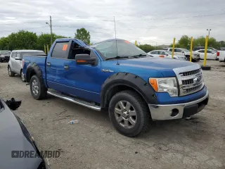 2013 Ford F-150 XL with VIN 1FTFW1EF1DKD22149, listed as a Copart auction lot 58136975 with 202,594 mi miles and Salvage title. Bid and sale history available at DreamBid. Image 4.