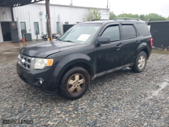2010 Ford Escape XLT with VIN 1FMCU0DG2AKB66255, listed as a IAAI auction lot 41982329 with 192,564 mi miles. Bid and sale history available at carsss.com. Image 2.