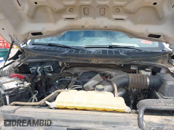 2021 Ford F-150 XL with VIN 1FTFX1E59MFC09787, listed as a IAAI auction lot 42162828 with 96,215 mi miles and . Bid and sale history available at DreamBid. Image 10.