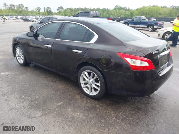 2010 Nissan Maxima 3.5 SV with VIN 1N4AA5APXAC823597, listed as a IAAI auction lot 41970712 with 217,610 mi miles. Bid and sale history available at carsss.com. Image 3.