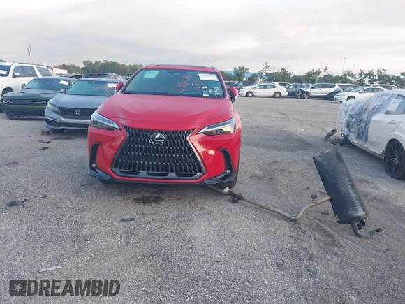 2025 Lexus NX with VIN 2T2ADCAZ8SC018984, listed as a IAAI auction lot 41641184 with 14,489 mi miles. Bid and sale history available at carsss.com. Image 13.