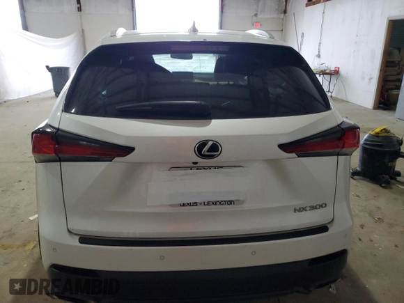 2019 Lexus NX 300 with VIN JTJBARBZ7K2190454, listed as a Copart auction lot 58147985 with 104,118 mi miles and Salvage title. Bid and sale history available at DreamBid. Image 6.