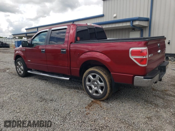 2014 Ford F-150 XL with VIN 1FTFW1CT5EFC49449, listed as a Copart auction lot 53208175 with 151,627 mi miles and Salvage title. Bid and sale history available at DreamBid. Image 2.