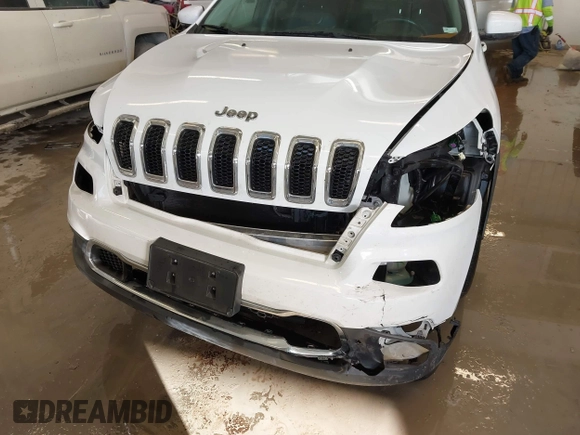 2015 Jeep Cherokee Limited with VIN 1C4PJMDS2FW682142, listed as a IAAI auction lot 41399903 with 124,918 mi miles and . Bid and sale history available at DreamBid. Image 6.