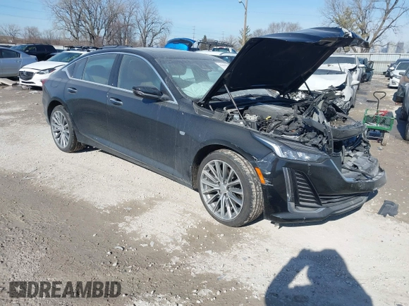 2024 Cadillac CT5 Premium Luxury z VIN 1G6DT5RW6R0108393, wystawiony jako IAAI lot #41404644 z przebiegiem 10 370 mil mil oraz . Historia ofert i sprzedaży dostępna na DreamBid. Obrazek 1.