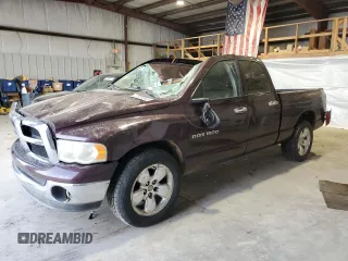 2004 Dodge 1500 SLT with VIN 1D7HA18N94S705188, listed as a Copart auction lot 49967065 with 263,022 mi miles and Salvage Title. Bid and sale history available at DreamBid. Image 1.
