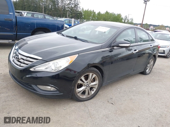 2011 Hyundai Sonata Limited with VIN 5NPEC4AC9BH100682, listed as a IAAI auction lot 42146593 with 241,070 mi miles and . Bid and sale history available at DreamBid. Image 2.