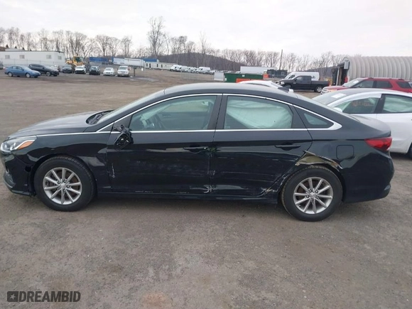 2019 Hyundai Sonata SE with VIN 5NPE24AF7KH734294, listed as a IAAI auction lot 41661304 with 50,355 mi miles. Bid and sale history available at carsss.com. Image 14.