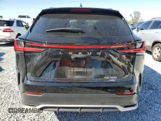 2023 Lexus NX with VIN 2T2KGCEZ8PC017301, listed as a Copart auction lot 48868185 with 44,617 mi miles and Salvage Title. Bid and sale history available at carsss.com. Image 6.