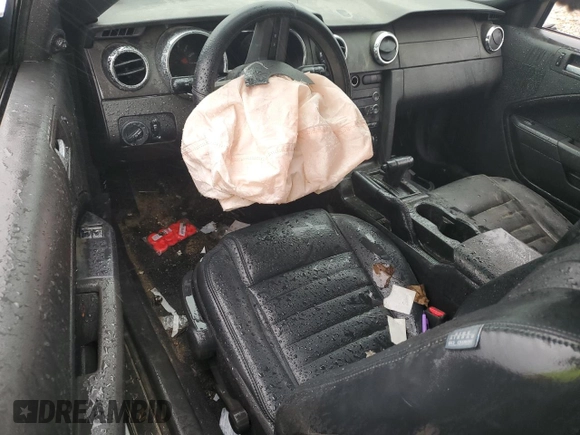 2009 Ford Mustang with VIN 1ZVHT80NX95110135, listed as a Copart auction lot 45482985 with Not provided miles and Salvage title. Bid and sale history available at DreamBid. Image 8.