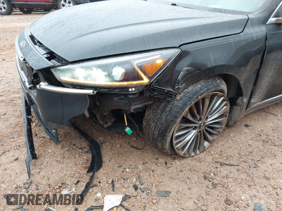 2018 Kia Cadenza Premium with VIN KNALC4J17J5099307, listed as a IAAI auction lot 41925008 with 118,474 mi miles. Bid and sale history available at carsss.com. Image 6.