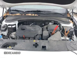 2019 Hyundai Santa Fe Limited with VIN 5NMS5CAD8KH048247, listed as a IAAI auction lot 41639121 with 66,627 mi miles. Bid and sale history available at carsss.com. Image 10.