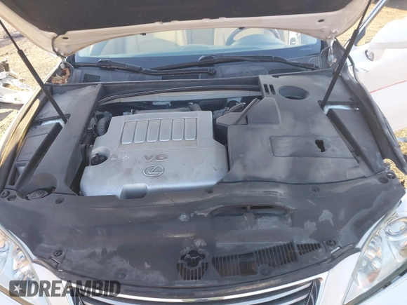 2009 Lexus ES 350 with VIN JTHBJ46G592308458, listed as a IAAI auction lot 41857896 with 209,754 mi miles. Bid and sale history available at carsss.com. Image 10.