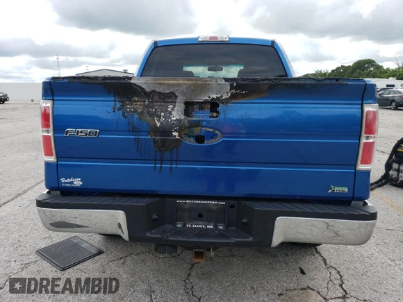 2010 Ford F-150 XL with VIN 1FTFW1EV8AFA11457, listed as a Copart auction lot 60961435 with 159,767 mi miles and Salvage title. Bid and sale history available at DreamBid. Image 6.