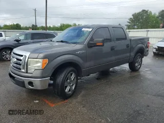 2009 Ford F-150 XL с VIN 1FTRW12829KC93576, выставлен на аукционе Copart как лот 52075725 с пробегом 244 401 миль миль и Списание • Salvage title. История ставок и продаж доступна на DreamBid. Изображение 1.