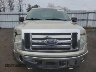 2009 Ford F-150 XL with VIN 1FTRW14869FA71127, listed as a Copart auction lot 81552544 with Not provided miles and Salvage title. Bid and sale history available at DreamBid. Image 5.