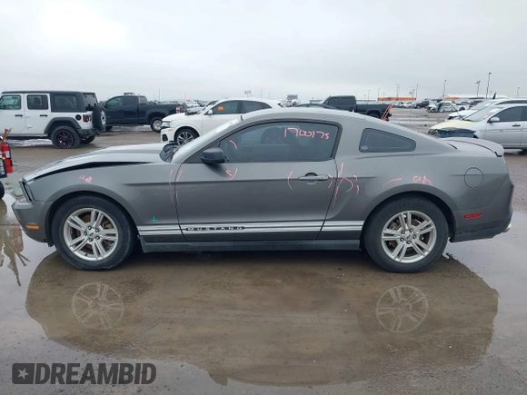 2011 Ford Mustang V6 with VIN 1ZVBP8AM2B5125492, listed as a IAAI auction lot 41565388 with 135,688 mi miles and . Bid and sale history available at carsss.com. Image 14.