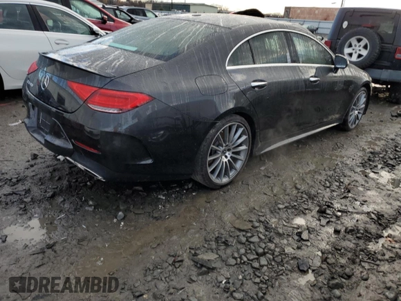 2020 Mercedes-Benz CLS with VIN WDD2J5JB1LA048470, listed as a Copart auction lot 81933214 with 0 mi miles and Salvage Title. Bid and sale history available at carsss.com. Image 3.