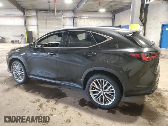 2024 Lexus NX 350 Luxury with VIN 2T2HGCEZ7RC034667, listed as a Copart auction lot 59150195 with 16,675 mi miles and Salvage title. Bid and sale history available at DreamBid. Image 2.
