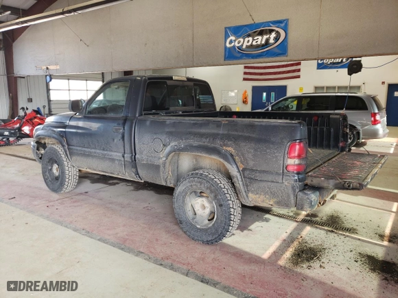 1999 Dodge Ram 1500 with VIN 1B7HF16Y4XS146923, listed as a Copart auction lot 48548615 with 247,260 mi miles and Salvage Title. Bid and sale history available at carsss.com. Image 2.
