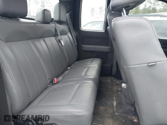 2013 Ford F-150 XL with VIN 1FTEX1CM5DFB69715, listed as a IAAI auction lot 41259318 with 176,916 mi miles. Bid and sale history available at carsss.com. Image 8.