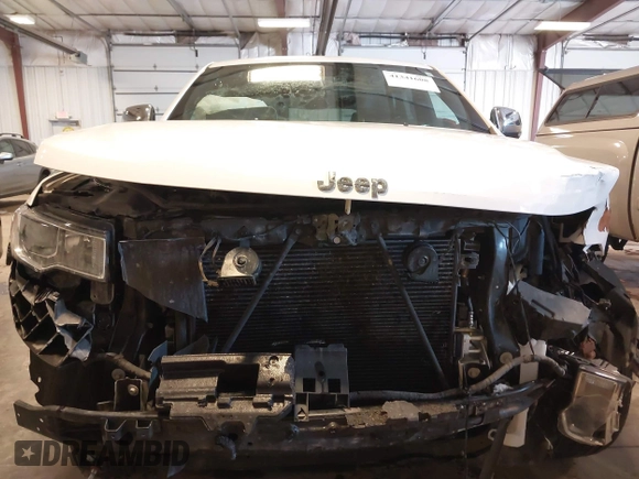 2021 Jeep Grand Cherokee 80th Anniversary with VIN 1C4RJFBG6MC569585, listed as a IAAI auction lot 41341608 with 73,234 mi miles and . Bid and sale history available at DreamBid. Image 6.