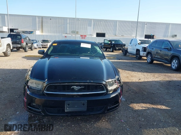 2014 Ford Mustang V6 with VIN 1ZVBP8AM9E5200757, listed as a IAAI auction lot 41976671 with 125,058 mi miles. Bid and sale history available at carsss.com. Image 12.
