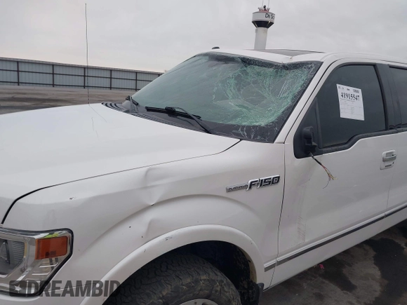 2013 Ford F-150 XL with VIN 1FTFW1EFXDFB59784, listed as a IAAI auction lot 41915547 with 102,365 mi miles. Bid and sale history available at carsss.com. Image 6.