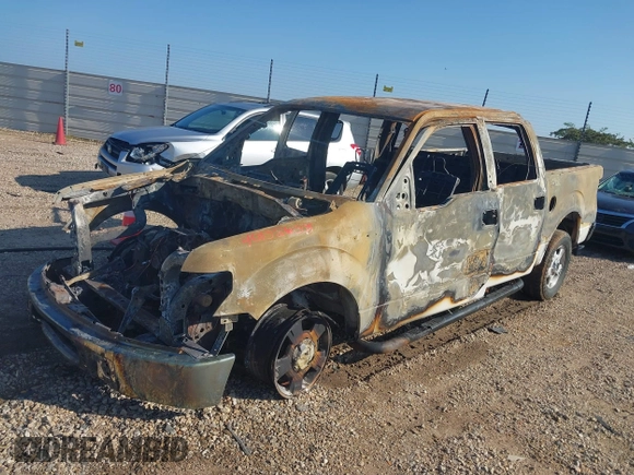 2010 Ford F-150 XL with VIN 1FTEW1C84AFB53183, listed as a IAAI auction lot 41863549 with Not provided miles and . Bid and sale history available at DreamBid. Image 2.