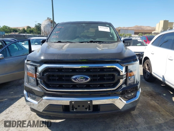2023 Ford F-150 XL z VIN 1FTEW1C80PKD24124, wystawiony jako IAAI lot #42356966 z przebiegiem 52 104 mil mil oraz . Historia ofert i sprzedaży dostępna na DreamBid. Obrazek 12.