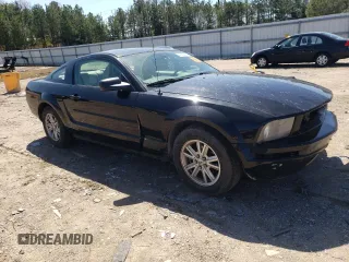 2005 Ford Mustang Deluxe with VIN 1ZVFT80N555244925, listed as a Copart auction lot 49692365 with 0 mi miles and Clean Title. Bid and sale history available at carsss.com. Image 4.