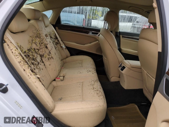2017 Genesis G80 3.8L with VIN KMHGN4JE4HU205824, listed as a Copart auction lot 74535684 with Not provided miles and Salvage title. Bid and sale history available at DreamBid. Image 10.