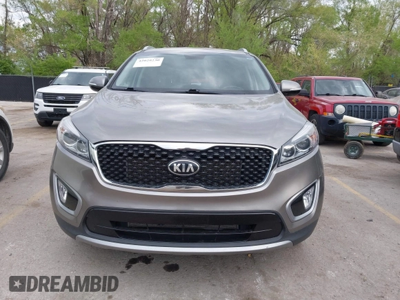 2017 Kia Sorento EX with VIN 5XYPHDA52HG323254, listed as a IAAI auction lot 42029230 with 272,952 mi miles and . Bid and sale history available at DreamBid. Image 6.