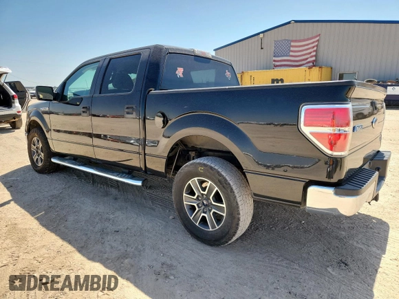 2010 Ford F-150 XL with VIN 1FTEW1C86AFC56413, listed as a Copart auction lot 61371355 with 251,151 mi miles and Salvage title. Bid and sale history available at DreamBid. Image 2.