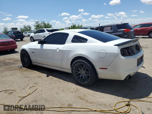 2014 Ford Mustang GT with VIN 1ZVBP8CF2E5237776, listed as a Copart auction lot 56317725 with 88,405 mi miles and Salvage title. Bid and sale history available at DreamBid. Image 2.