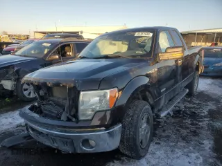 2014 Ford F-150 XL with VIN 1FTFX1ET9EFA56148, listed as a Copart auction lot 42361655 with 240,231 mi miles and Salvage Title. Bid and sale history available at carsss.com. Image 1.